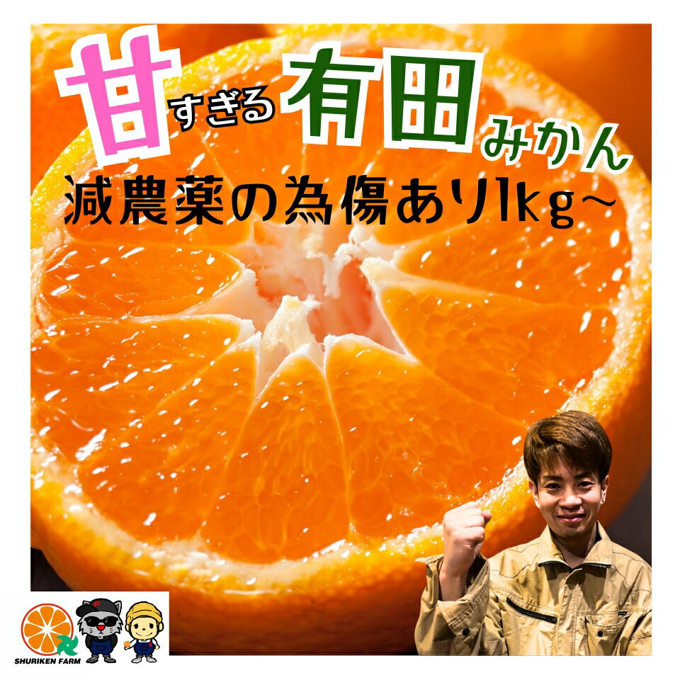 有田みかん 数量限定 【減農薬】 和歌山 甘い おいしい 濃い みかん 産地直送 訳あり 蜜柑 送料 1kg 2kg 3kg 5kg 友達や家族と分け合える 子供 人気No1 オープンキャンペーン