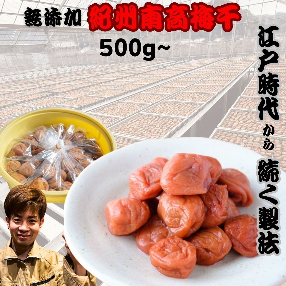 楽天市場】梅干し 無添加 10%の通販 楽天市場】梅干し 無添加 10%の通販