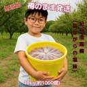 抽選で最大100%ポイントバック 7/26まで!クーポンで最大2800円引き!】 紀州南高梅 数量限定 【無添加】和歌山 梅干 梅 酸っぱい 江戸時代 濃い 産...