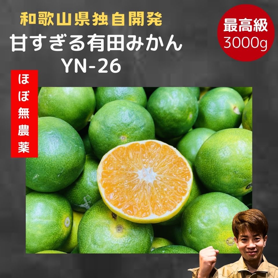 5940円⇒2980円！有田みかん YN-26 数量限定 【減農薬】極甘　 和歌山 甘い おいしい 濃い みかん 産地直送 訳あり 蜜柑 送料 3kg 友達や家族と分け合える 子供 人気No1 オープンキャンペーン 極早生 早生 ミカン 和歌山みかん 子供 ファミリー 人気　おすすめ