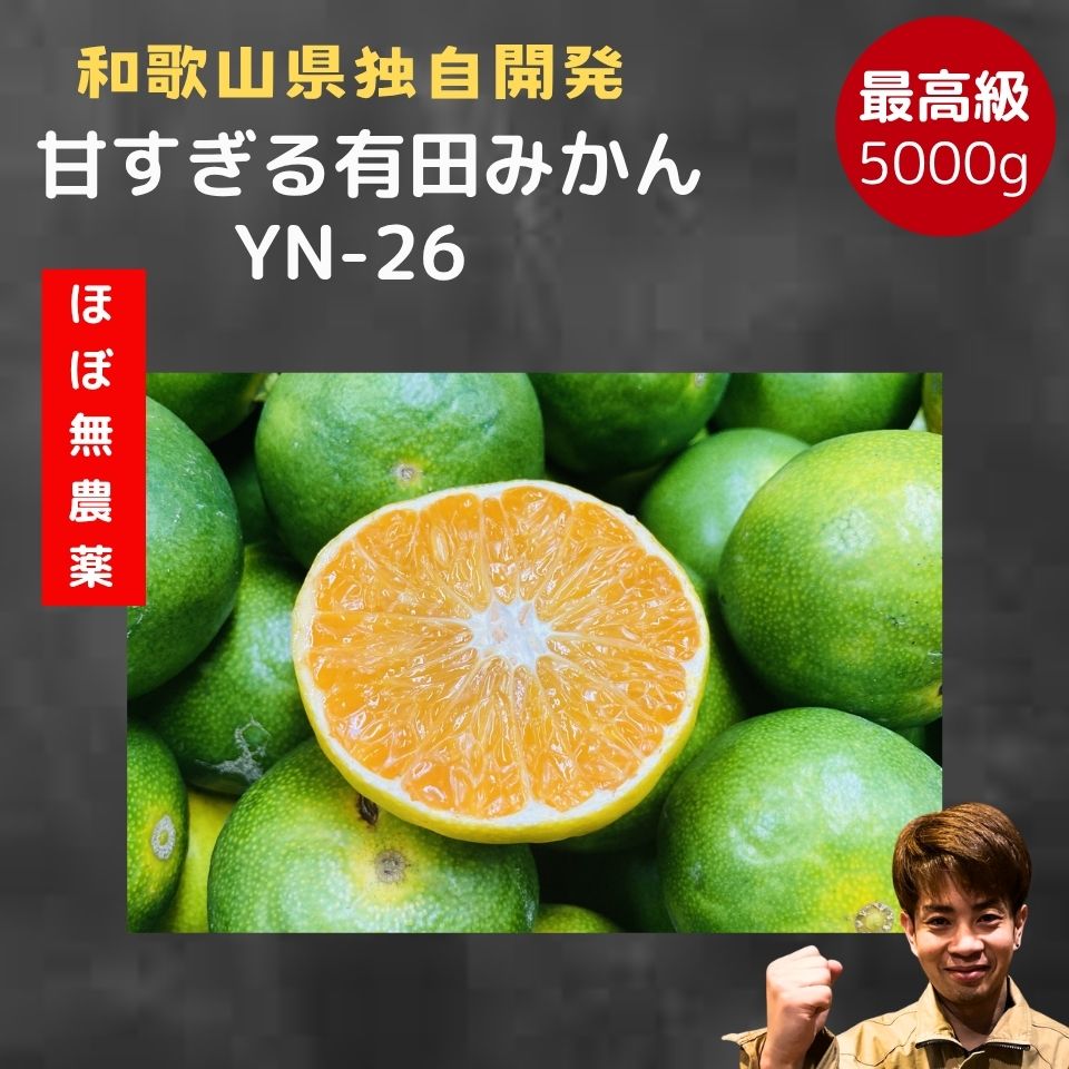 9900円⇒3980円！有田みかん YN-26 数量限定 【減農薬】極甘　 和歌山 甘い おいしい 濃い みかん 産地直送 訳あり 蜜柑 送料 5kg 友達や家族と分け合える 子供 人気No1 オープンキャンペーン 極早生 早生 ミカン 和歌山みかん