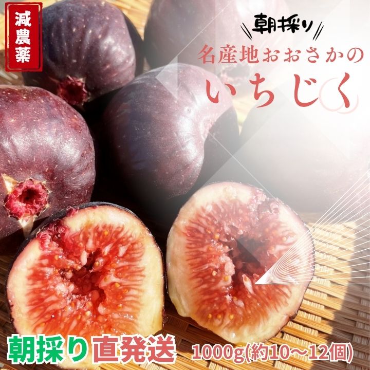 ランキング受賞！ 最高級【減農薬】大阪産 いちじく イチジク 無花果 おおさか 1kg 500g 甘い 高糖度 大容量 オープンキャンペーン 人気 おすすめ 梅 梅干し 格安 セール 割引 激安 即発送 産地直送 贈り物 ギフト お中元 高級 河南町