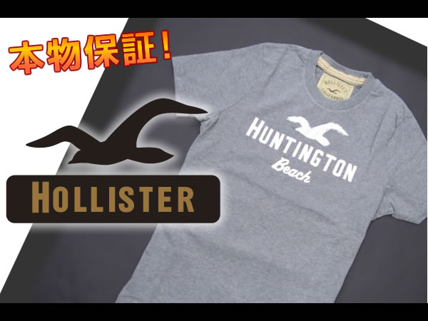 【HOLLISTER/ホリスター】(半袖Tシャツ)(アメカジ)ホリスター メンズ 半袖Tシャツ アップリケTシャツ Mサイズ グレー【セール】(XS,S,M,L,XL)