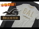 【HOLLISTER/ホリスター】(半袖Tシャツ)(アメカジ)ホリスター メンズ 半袖Tシャツ アップリケTシャツ Sサイズ ライトヘザーグレー【セール】(XS,S,M,L,XL)