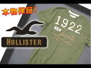【HOLLISTER/ホリスター】(半袖Tシャツ)(アメカジ)ホリスター メンズ 半袖Tシャツ アップリケTシャツ Sサイズ グリーン【セール】(XS,S,M,L,XL)