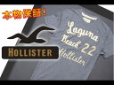 【HOLLISTER/ホリスター】(半袖Tシャツ)(アメカジ)ホリスター メンズ 半袖Tシャツ アップリケTシャツ Lサイズ グレー【セール】(XS,S,M,L,XL)