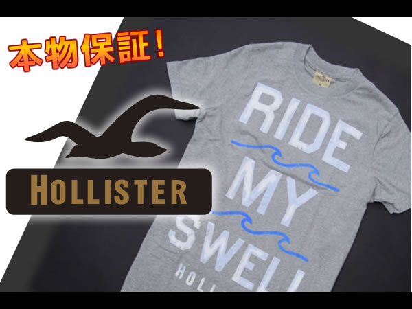 【HOLLISTER/ホリスター】(半袖Tシャツ)(アメカジ)ホリスター メンズ 半袖Tシャツ プリントTシャツ Mサイズ グレー【セール】(XS,S,M,L,XL)