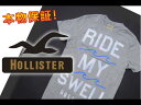 【HOLLISTER/ホリスター】(半袖Tシャツ)(アメカジ)ホリスター メンズ 半袖Tシャツ プリントTシャツ Mサイズ グレー【セール】(XS,S,M,L,XL)