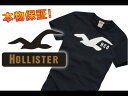 【HOLLISTER/ホリスター】(半袖Tシャツ)(アメカジ)ホリスター メンズ 半袖TシャツHUNTINGTON BEACH ネイビー (XS,S,M,L,XL)【セール】