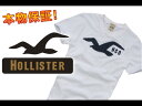 【HOLLISTER/ホリスター】(半袖Tシャツ)(アメカジ)ホリスター メンズ 半袖Tシャツ HUNTINGTON BEACH ホワイト【セール】(XS,S,M,L,XL)