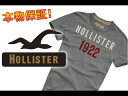 【HOLLISTER/ホリスター】(半袖Tシャツ)(アメカジ)ホリスター メンズ 半袖TシャツMONARCH BEACH ヘザーグレー (XS,S,M,L,XL)【セール】