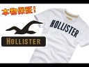 【HOLLISTER/ホリスター】(半袖Tシャツ)(アメカジ)ホリスター メンズ 半袖TシャツMONARCH BEACH ホワイト (XS,S,M,L,XL)【セール】