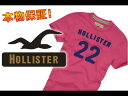 【HOLLISTER/ホリスター】(半袖Tシャツ)(アメカジ)ホリスター メンズ 半袖TシャツPOINT MUGU ピンク (XS,S,M,L,XL)【セール】