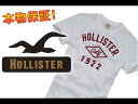 【HOLLISTER/ホリスター】(半袖Tシャツ)(アメカジ)ホリスター メンズ 半袖TシャツBIG DUME ホワイト (XS,S,M,L,XL)【セール】