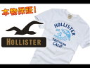 【100％本物保障】【Hollister/ホリスター】(半袖Tシャツ)(アメカジ)ホリスター メンズ 半袖TシャツSYCAMORE COVE ホワイト (XS,S,M,L,XL)【セール】