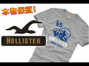 【100％本物保障】【Hollister/ホリスター】(半袖Tシャツ)(アメカジ)ホリスター メンズ 半袖TシャツSYCAMORE COVE グレーヘザー (XS,S,M,L,XL)【セール】