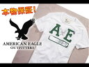 【American Eagle Outfitters/アメリカンイーグル】(半袖Tシャツ)(アメカジ)アメリカンイーグル メンズ 半袖Tシャツ AE SIGNATURE APPLIQUE T ホワイト(0181-3722)【セール】(XS,S,M,L,XL)