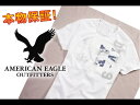 【American Eagle Outfitters/アメリカンイーグル】(半袖Tシャツ)(アメカジ)アメリカンイーグル メンズ 半袖TシャツAE EAGLE SIGNATURE GRAPHIC T ホワイト (0164-3753)(XS,S,M,L,XL)【セール】