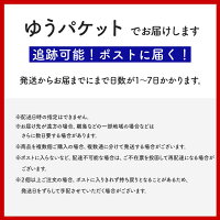 【メール便】浜松注染手ぬぐい【ストライプ】てぬぐい注染綿100%日本製縦線
