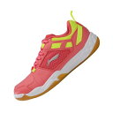 【レビュー投稿やLINE追加でクーポンGET】リーニン バドミントン シューズ LI-NING AYTL052