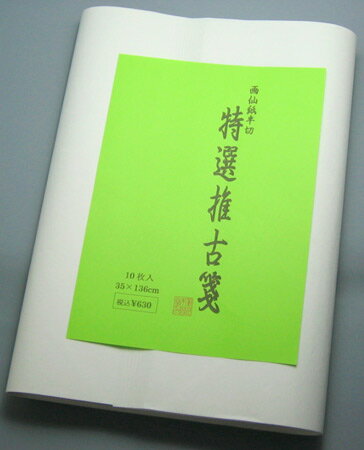 画仙紙　半切紙/条幅紙　　推古箋10枚パック