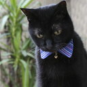 猫 首輪 襟 エリ ブルー 青 安全 セーフティバックル付 コットン ハゲない 猫用首輪 希少USAコットン使用 【 猫雑貨招福 】