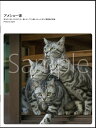 猫 フォトブック 写真 ポストカード 【猫雑貨招福】