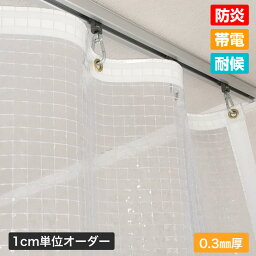 カーテン 室内向け 透明 ビニールカーテン 糸入り 防炎 帯電 耐候［0.3mm厚］【幅1～44cm×丈51～100cm】【0と5のつく日限定！生活応援3,000円OFFクーポン】