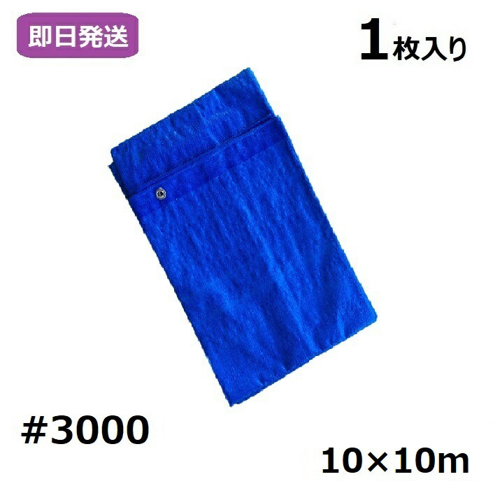 楽天シート専科ワンダフルデーポイント10倍 業務用 ブルーシート 厚手 #3000 10×10m [1枚入り]【0と5のつく日限定！生活応援3,000円OFFクーポン】