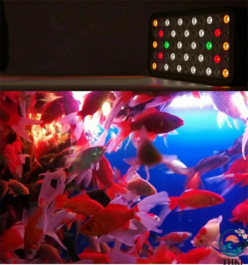 ������2����5%OFF��165W 55LEDx3W ��²�� ������� ����� ���󥴿��� ���� Ǯ�ӵ� ���� LED�������ꥦ�ॹ�ݥåȥ饤�� �Ų� LED �������ꥦ��饤�� Ĵ�� �ʥ��� Ĺ��̿