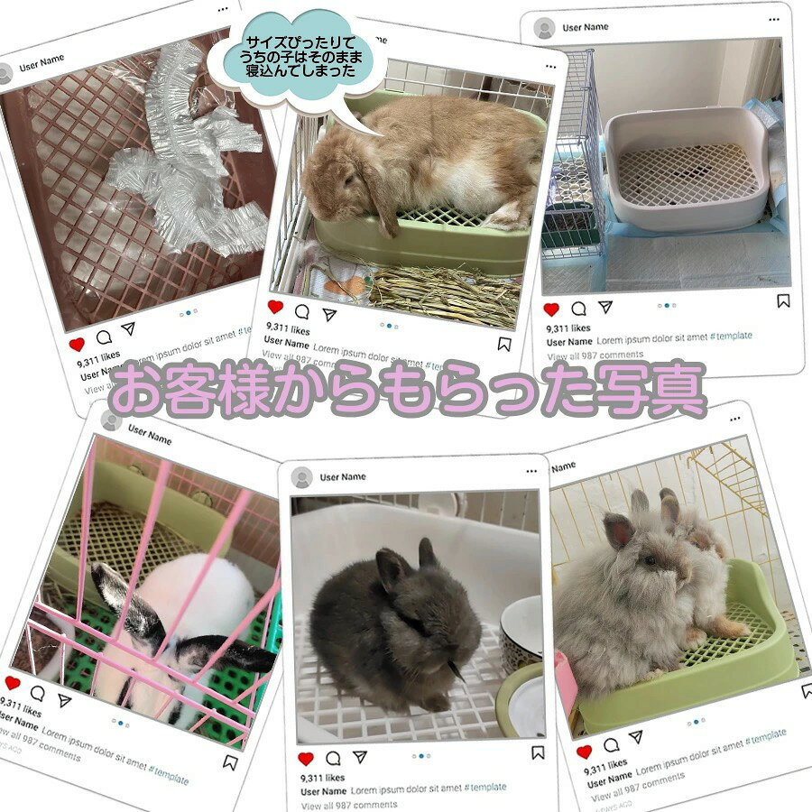 SIAデザイン楽天市場店の【全品5%ポイント】うさぎ トイレ うさぎトイレ うさぎ用 トイレ うさぎ用トイレ 四角ラビレット ラビットフィットパン うさぎ用トイレタリー用品 トイレ 掃除 うさぎ うさぎ全般 うさぎ用品 ウサギ 掃除しやすい ピンク ブルー ホワイト グリ｜アングル2
