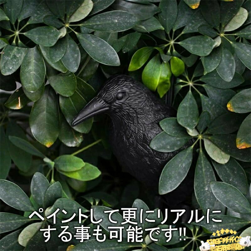 ������2����5%OFF�ۥ��饹���� ������ ȷ �褱 Ļ�򤱥��å� ��Ļ�к� �����֤��� Ȫ ����