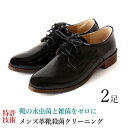 【往復 送料無料 宅配】メンズ 革靴 クリーニング水虫対策ビジネスシューズローファー スエードデッキシューズ ドライビングシューズまとめて2足紳士靴の水虫菌を強...