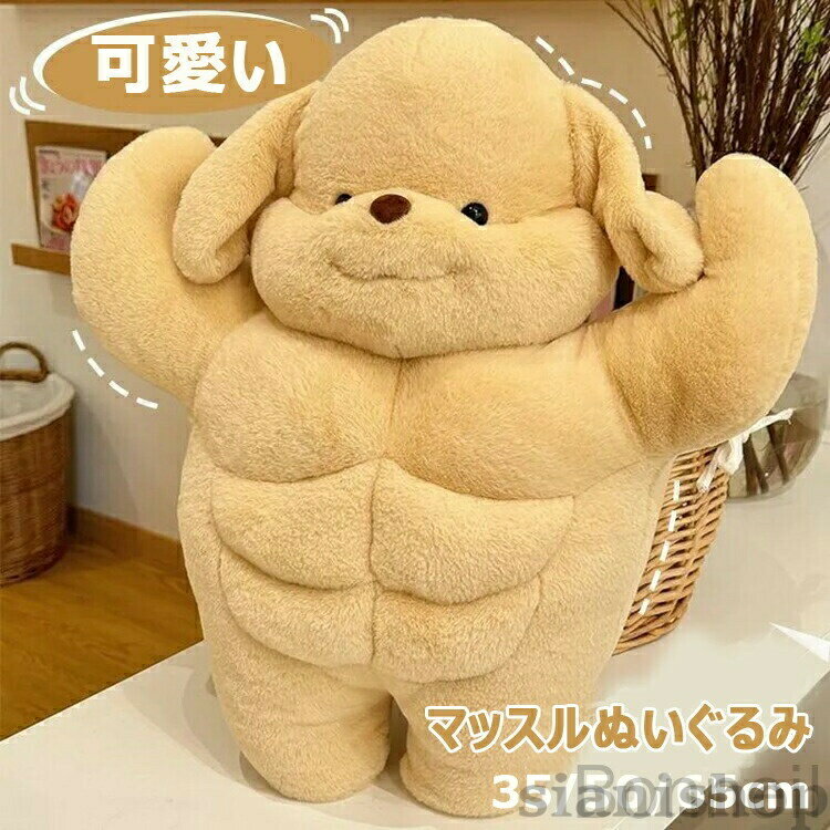 楽天市場】心臓マッサージ 人形の通販