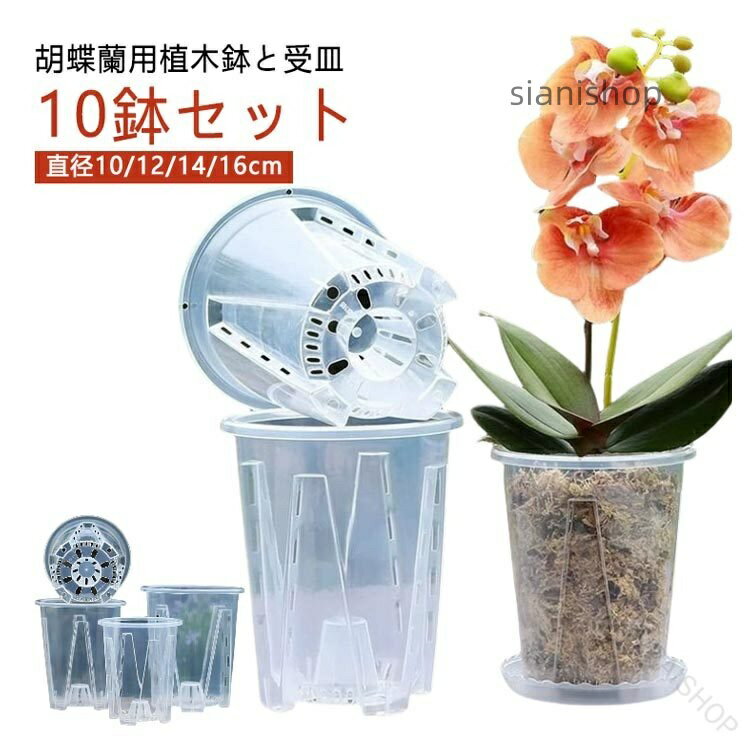 植木鉢 蝶蘭 蘭の鉢 受皿付き 穴付き プラスチック 胡蝶蘭鉢 洋蘭鉢 透明 屋外 屋...