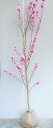 花芽付き【矢口花桃（ヤグチハナモモ）】樹高1.5m前後　接ぎ木根巻き大苗 八重咲きピンクの花　やぐちはなもも