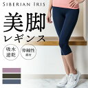 SALE!【シンプル7分丈レギンス】送料無料 ヨガウェア レギンス おしゃれ かわいい ホットヨガ ヨガパンツ スパッツ ピラティス ダイエット ヨガレギンス ...