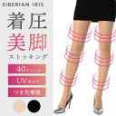 SALE!送料無料 【 着圧 美脚ストッキング 】 着圧 ストッキング 細く見える ほっそり 美脚 引き締め ひきしめ すっきり ストッキング デニール 浮腫み...