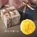 【イルコルポ公式】イルコルポ ナチュラルシースポンジ ギフトボックス|イタリア産 最高級 天然海綿 敏感肌 ふわふわの洗い心地|出産祝 内祝 にも