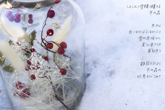 ���ѥ� �� �ߤο��Υ��饹�ܥȥ륢��� �� �ż��ɺ����������ߤ򥤥᡼������... �� ���ꥹ�ޥ� �ɥ饤�ե� ���饹����ƥ�