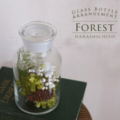 https://thumbnail.image.rakuten.co.jp/@0_mall/sichiyo/cabinet/arrange/arrange/ap-forest19.jpg