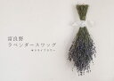 sichiyo:10006894のサンプル画像2