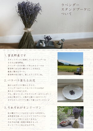 【富良野産】ラベンダースタンドブーケ/ドライフラワーおかむらさきラベンダー早咲4号ブーケ花束ギフト女性誕生日お祝いプレゼント母の日アロマウェディング花