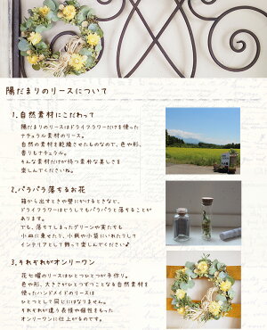 陽だまりのリース*元気の出るイエローとグリーンの優し気なドライフラワーリース◆お祝い誕生日お礼ホワイトデープレゼント母の日花束贈呈ウェディングウェルカムリースギフトインテリアナチュラル