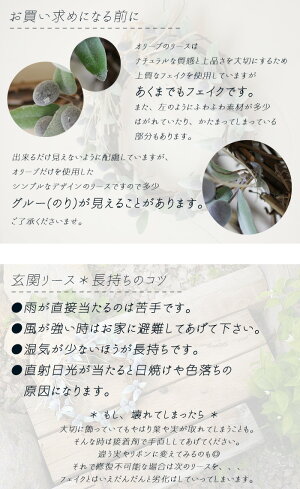 玄関ドア用リース*オリーブのリース20/アートフラワー造花玄関外用ギフトお祝いお誕生日インテリアナチュラルホワイトデープレゼント母の日敬老の日結婚祝い新築祝いシンプル