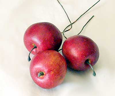 ◆ドライフラワー姫リンゴピック