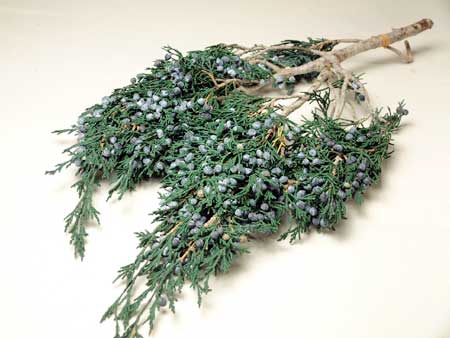 ◆プリザーブドフラワーマウンテンジュニパー