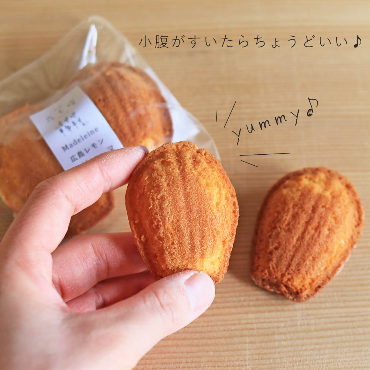 �������� �ּ��ˤξƲۻҡ��̳�ƻ�����ȥХ������ �ޥɥ졼�� ��3�ѥå�set �� �̳�ƻ���������̳�ƻ���Х��������ѤʾƤ��ۻ� �񻺾��� ���� �̳�ƻ������