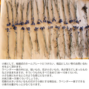 2018年新物♪【富良野産】富良野ラベンダー3号こいむらさき/濃紫/北海道産ドライフラワー花材リース手作り国産材料素材ナチュラルインテリアハーブ