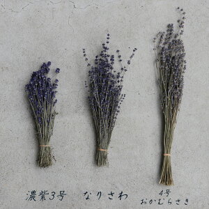 2018年新物♪【富良野産】富良野ラベンダー3号こいむらさき/濃紫/北海道産ドライフラワー花材リース手作り国産材料素材ナチュラルインテリアハーブ